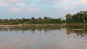 área de 1000 hec  rio tarauacá