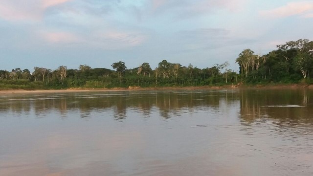 Foto 1 - rea de 1000 hec  rio tarauac