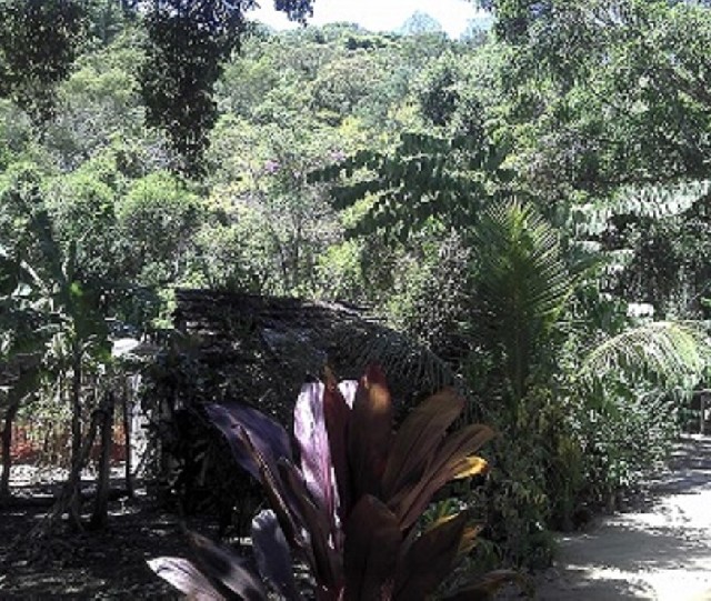 Sítio 36000m² rio do ouro sg ama0007